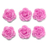 /album/fotogaleria/a6-rositas-jpg/